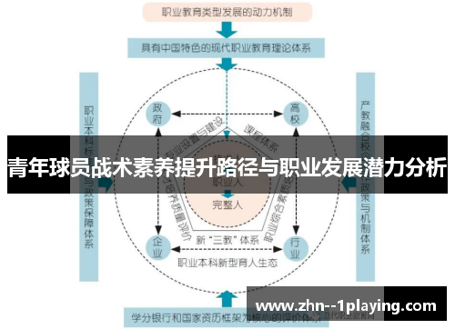 青年球员战术素养提升路径与职业发展潜力分析